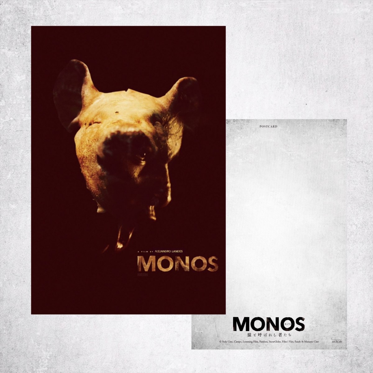 少年少女たちの狂気が暴走『MONOS 猿と呼ばれし者たち』予告解禁