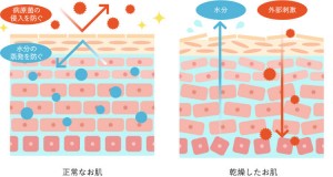 インナードライ肌　大正製薬