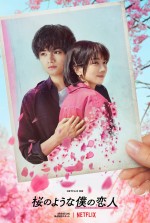 【動画】中島健人×松本穂香『桜のような僕の恋人』ティーザー予告