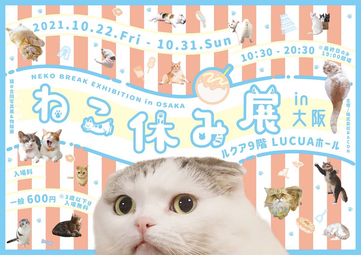 「ねこ休み展 2021 in 大阪」