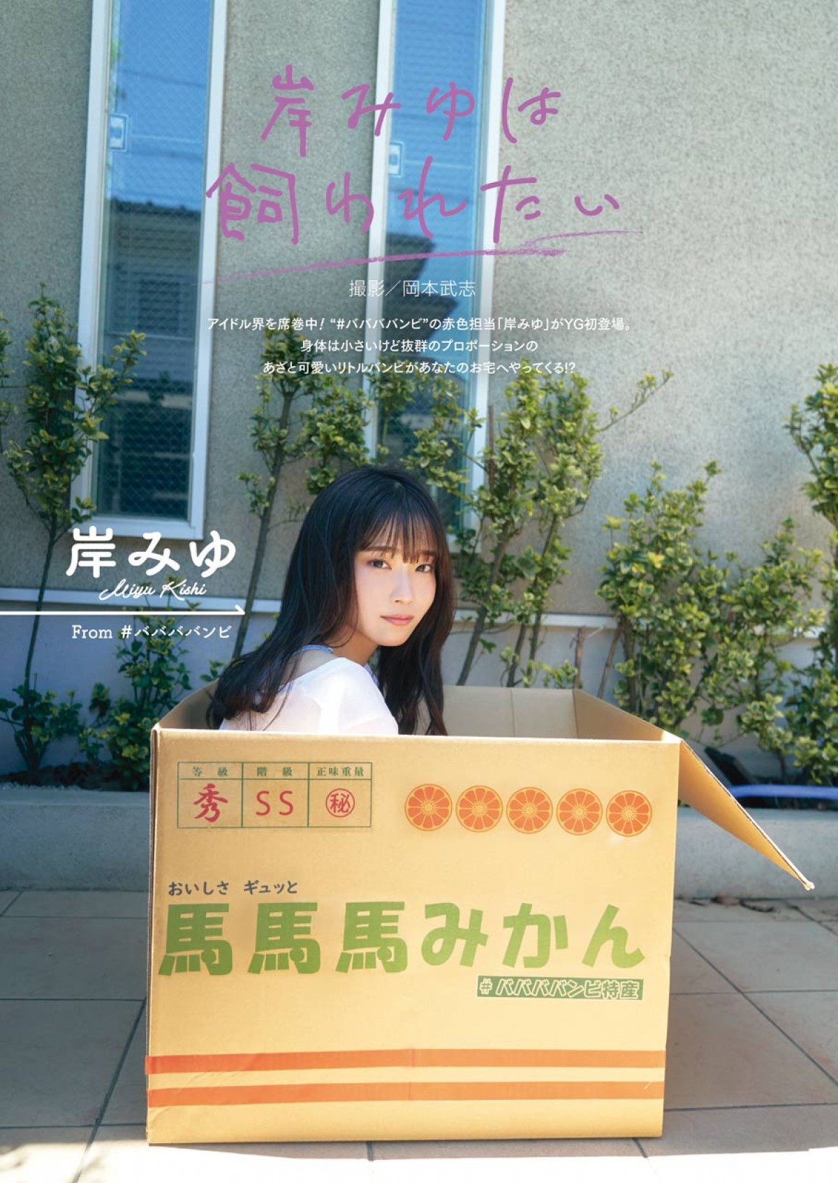 十味、かれんな“エルフ”に変身　セクシーなランジェリーカットも