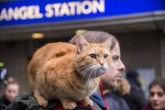 映画『ボブという名の猫2　幸せのギフト』場面写真