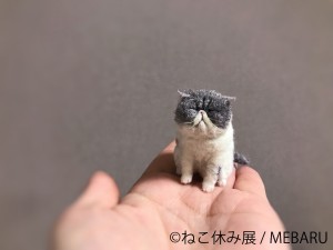 「ねこ休み展」