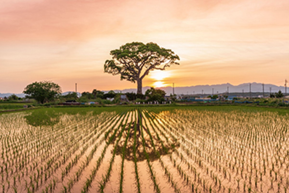 SNSで映える絶景ランキング