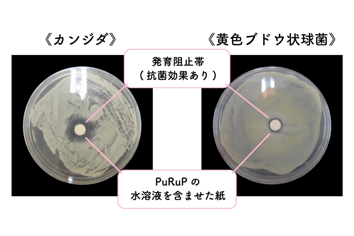 デリケートゾーン専⽤ソープ「PuRuP」