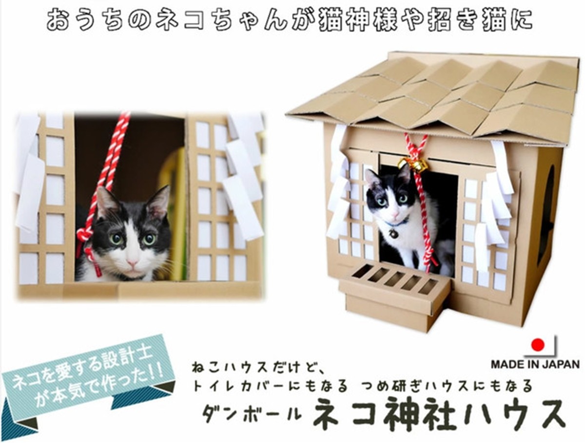 猫ちゃん専用のこたつ付きみかん「猫と、こたつと、思い出みかん」
