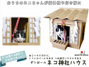 猫ちゃん専用のこたつ付きみかん「猫と、こたつと、思い出みかん」