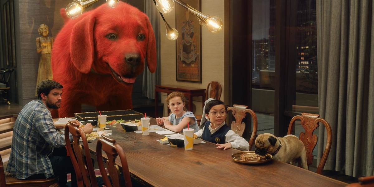 獣医師が伝授！　規格外なでか子犬との暮らし　『でっかくなっちゃった赤い子犬』特別映像