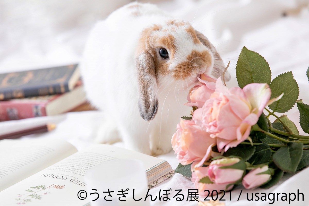 うさぎしんぼる展2021