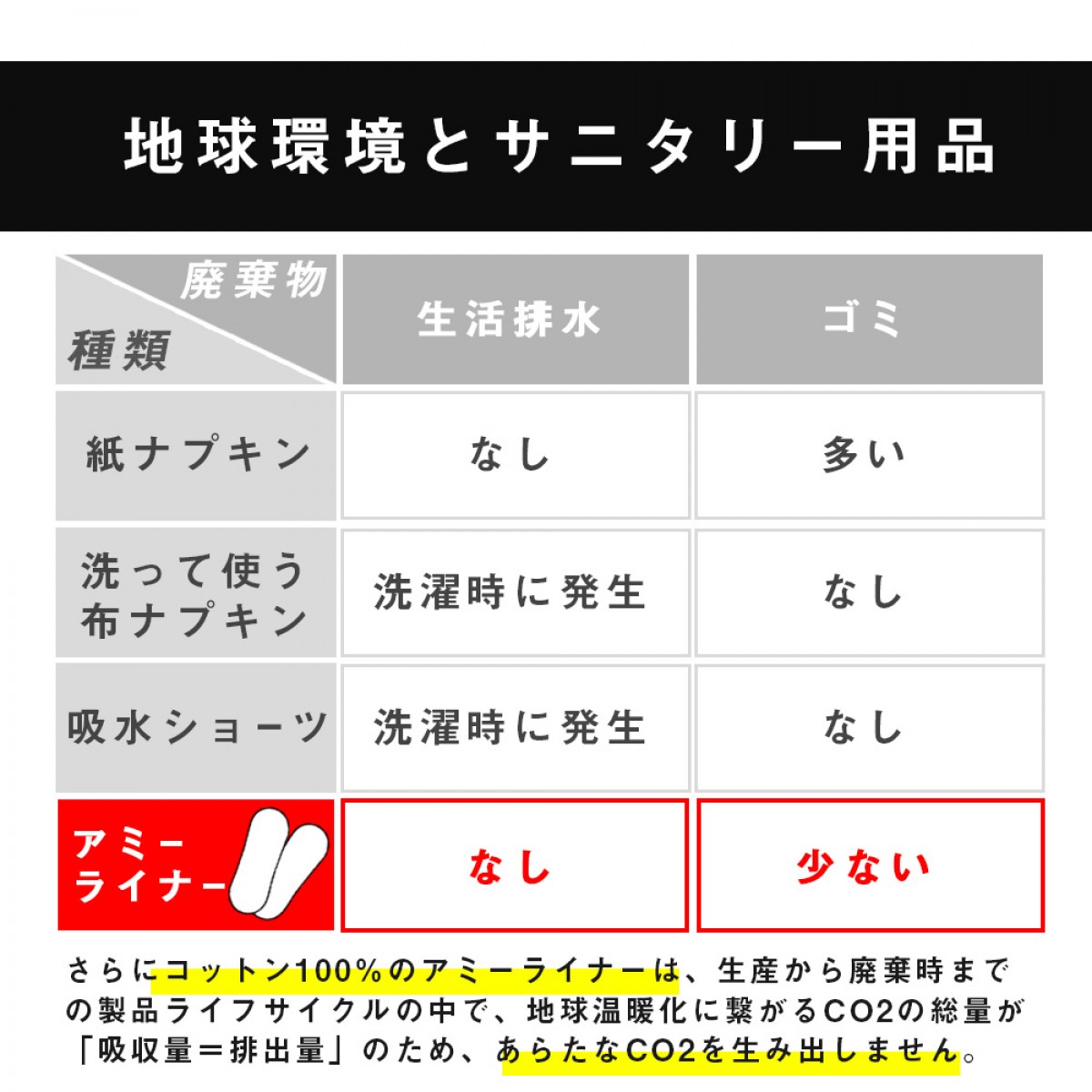 アミーライナー　Tバックタイプ（【布製】使い捨ておりものシート・ナプキン）