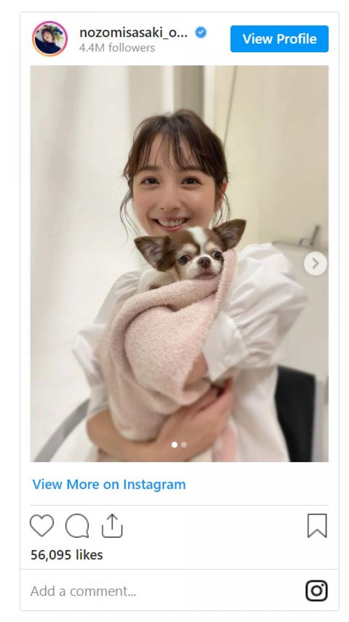 佐々木希、愛犬をバックハグ　表情に「飼い主さんと似てますね！？」の声