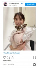 佐々木希、愛犬をバックハグ　※「佐々木希」インスタグラム