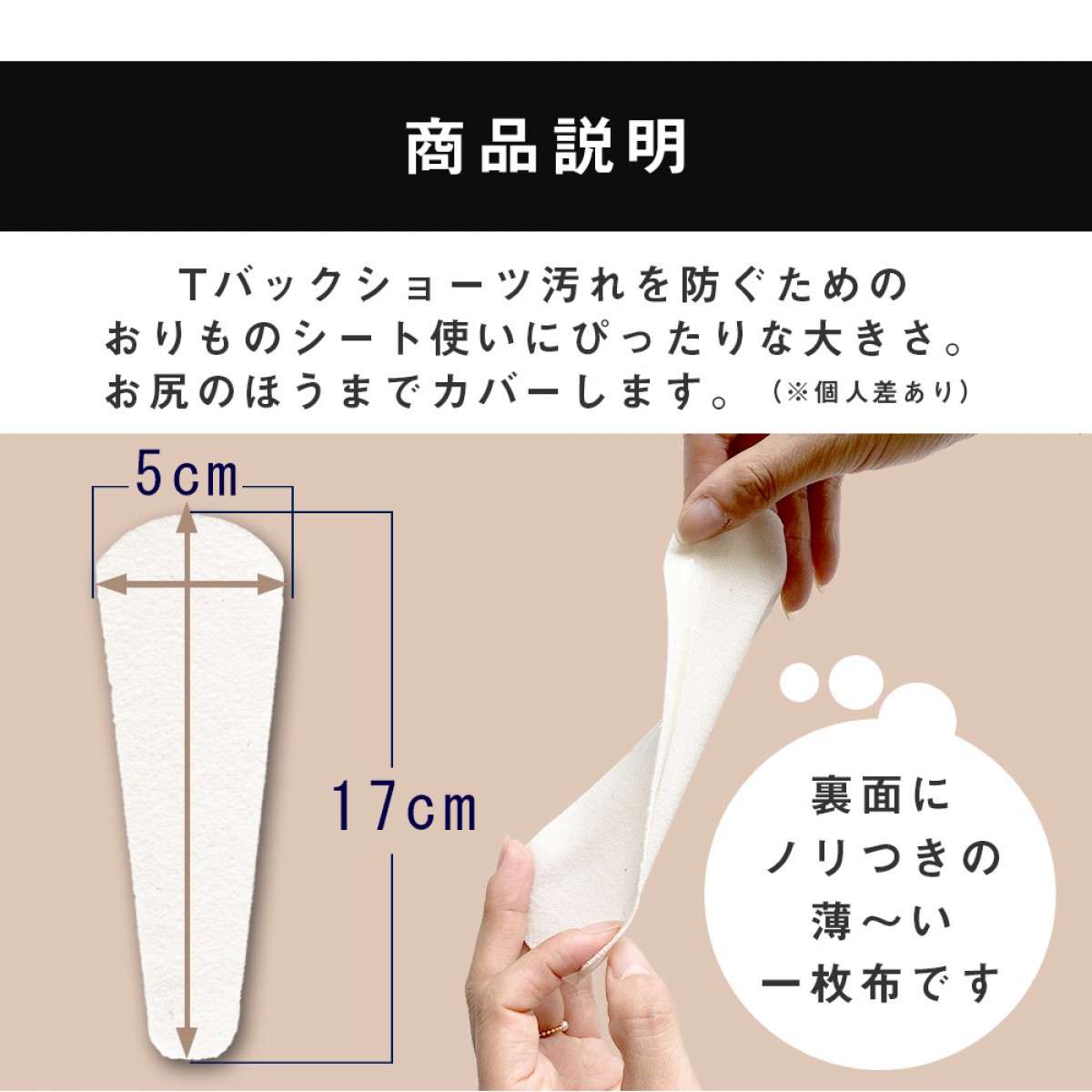 アミーライナー　Tバックタイプ（【布製】使い捨ておりものシート・ナプキン）