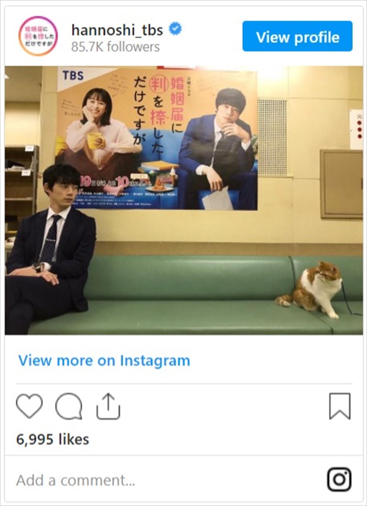 坂口健太郎、『ハンオシ』愛猫“おもち”と微妙な距離感　見つめ合うオフショットに反響