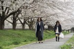 映画『蜜月』場面写真