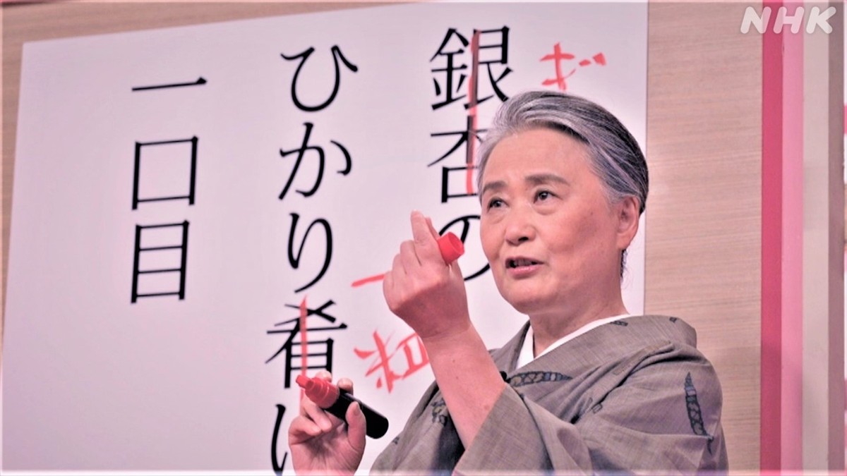 『プロフェッショナル 仕事の流儀』「17音、言葉の力を信じて~俳人・夏井いつき~」より