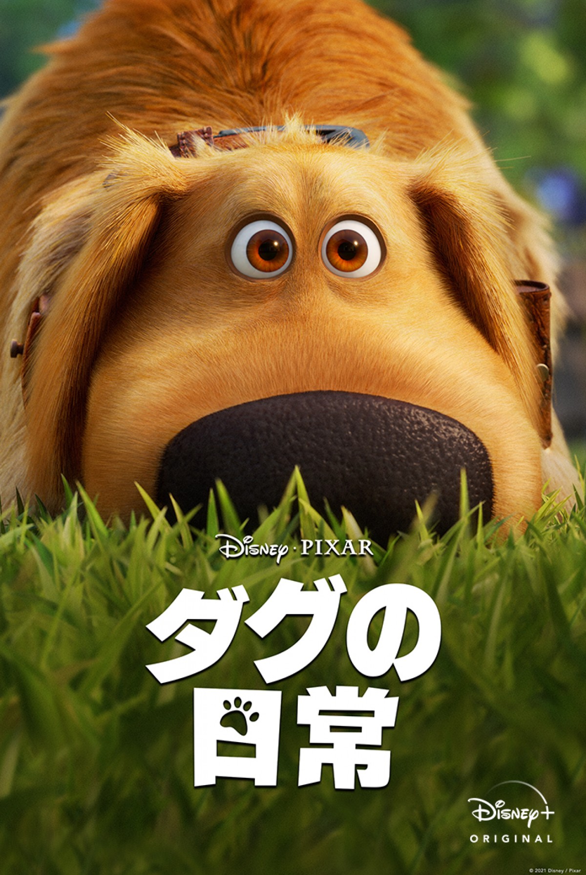 カールじいさんの空飛ぶ家 のしゃべる犬ダグが主人公に ダグの日常 9 10配信 21年9月3日 アニメ ニュース クランクイン