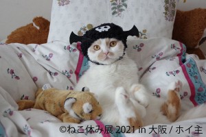 「ねこ休み展 2021 in 大阪」