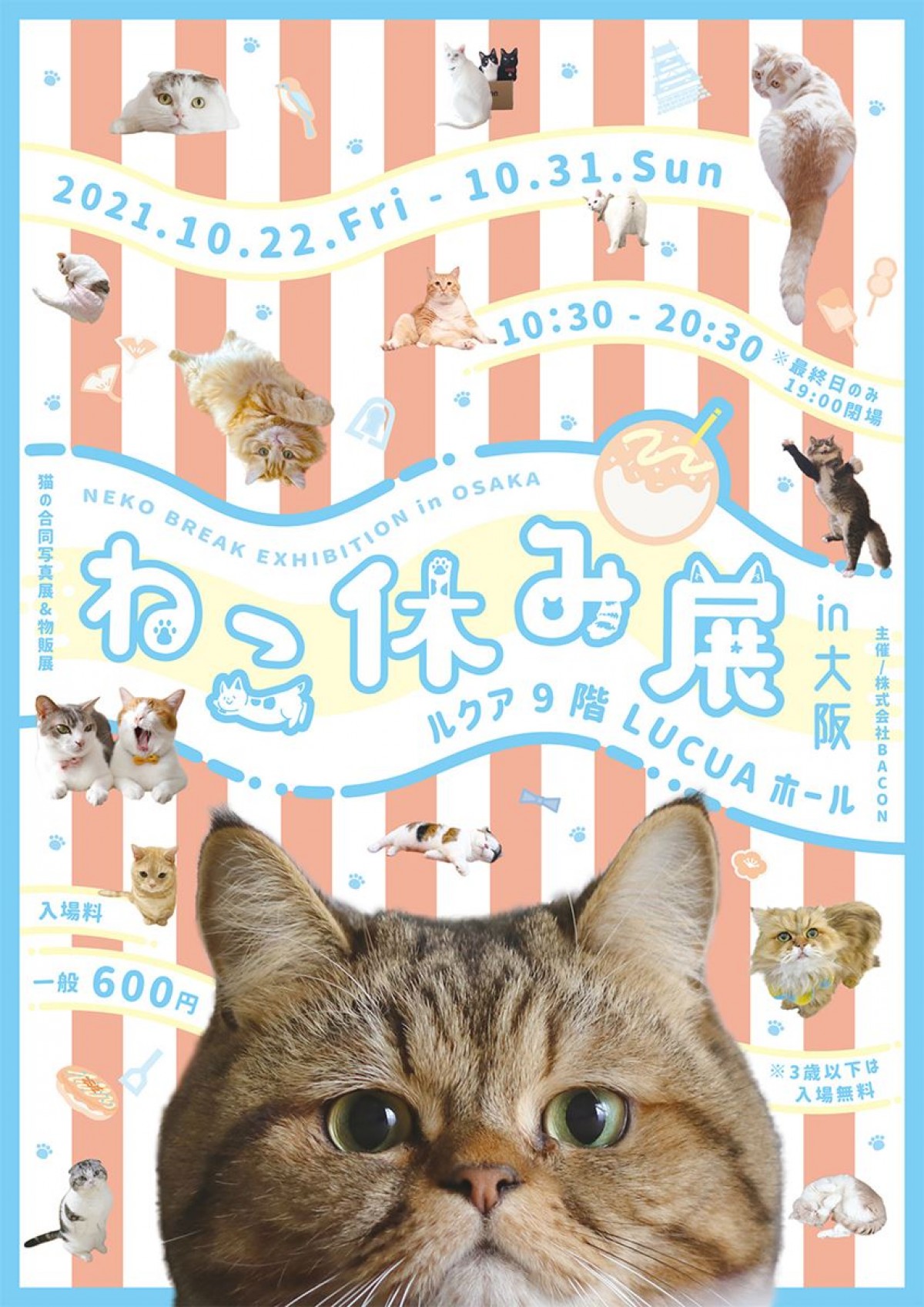 「ねこ休み展 2021 in 大阪」