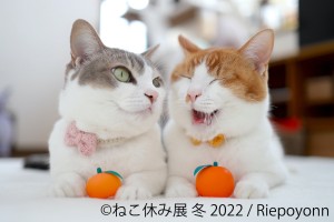 「ねこ休み展」