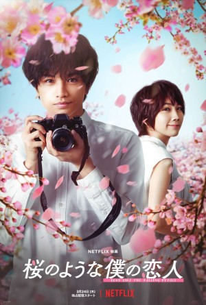 Netflix映画『桜のような僕の恋人』キーアート