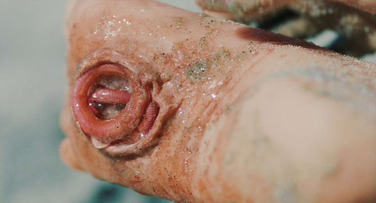 不気味なネバネバ生物に寄生される恐怖…終末ホラー『ザ・ビーチ』予告