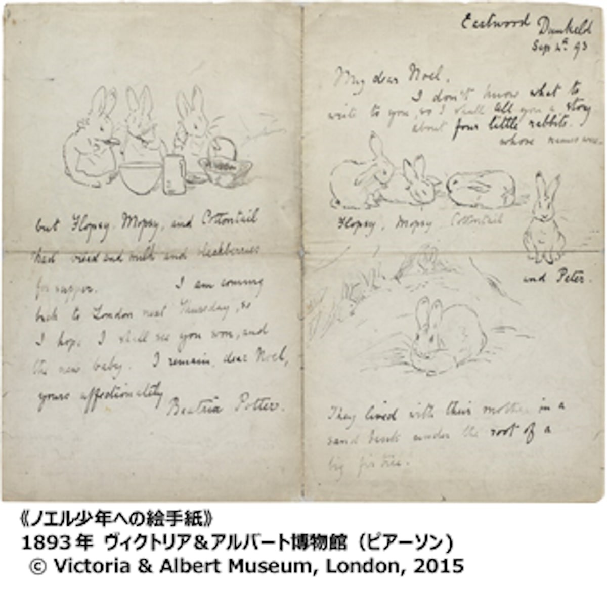 出版120周年 ピーターラビット™展