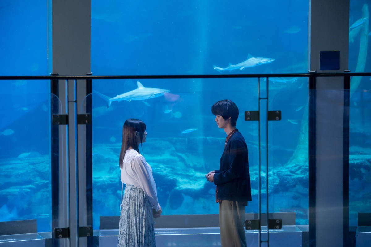 レンタル彼女、パパ活、整形、ホスト…5人の女性を描く『明日、私は誰かのカノジョ』今夜スタート