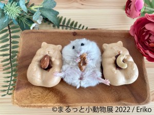 20220414＿「まるっと小動物展 2022」