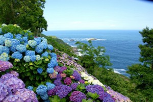 雨の日も魅力的な絶景スポットランキング