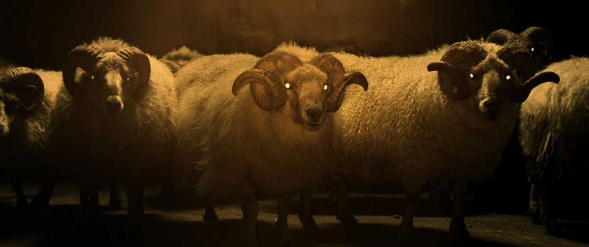 禁断の“羊”の物語　アイスランドでスマッシュヒットの異色作『LAMB／ラム』の監督に聞く