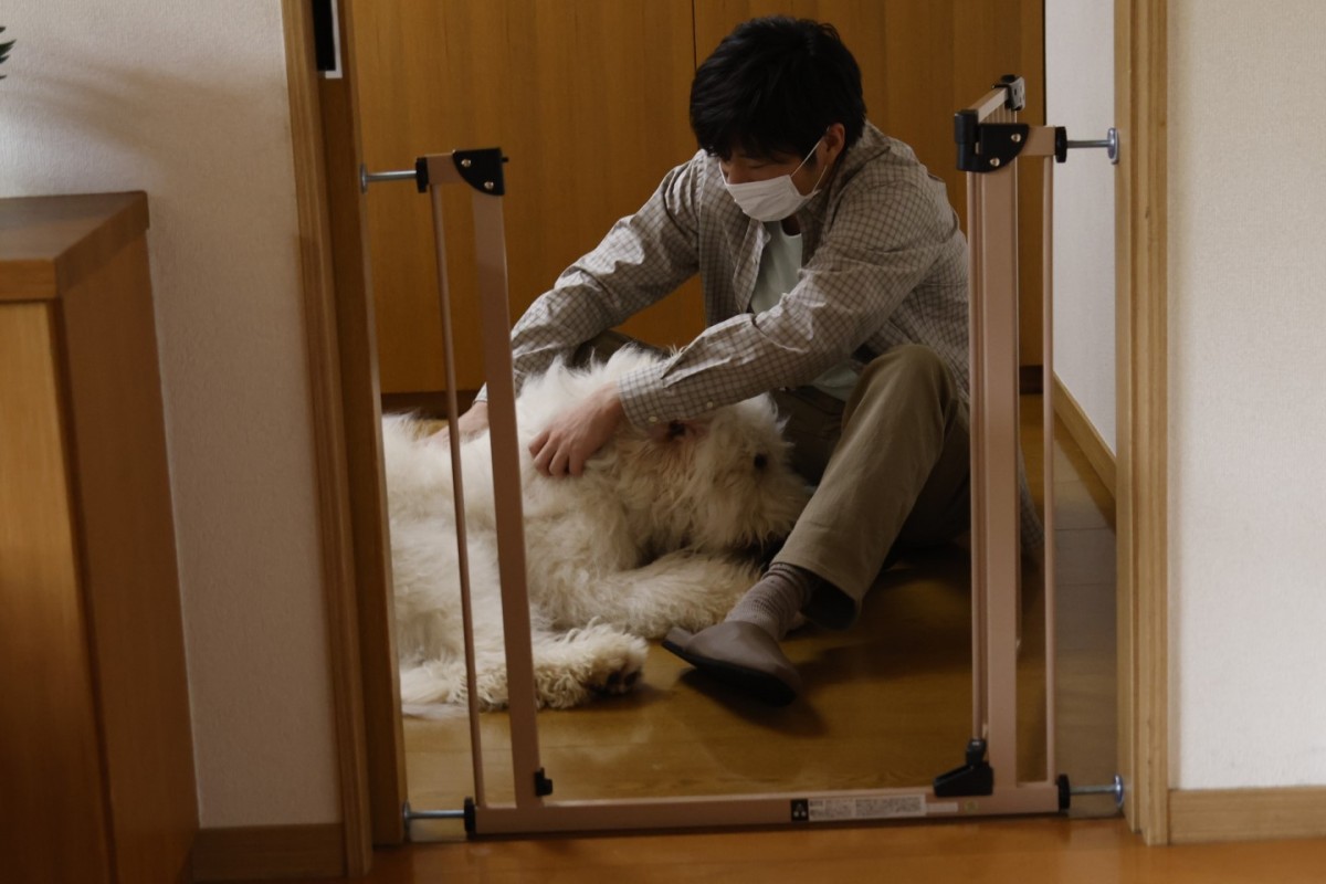 超絶癒し！ 『ハウ』田中圭と俳優犬・ベックのかわいすぎる2ショット公開