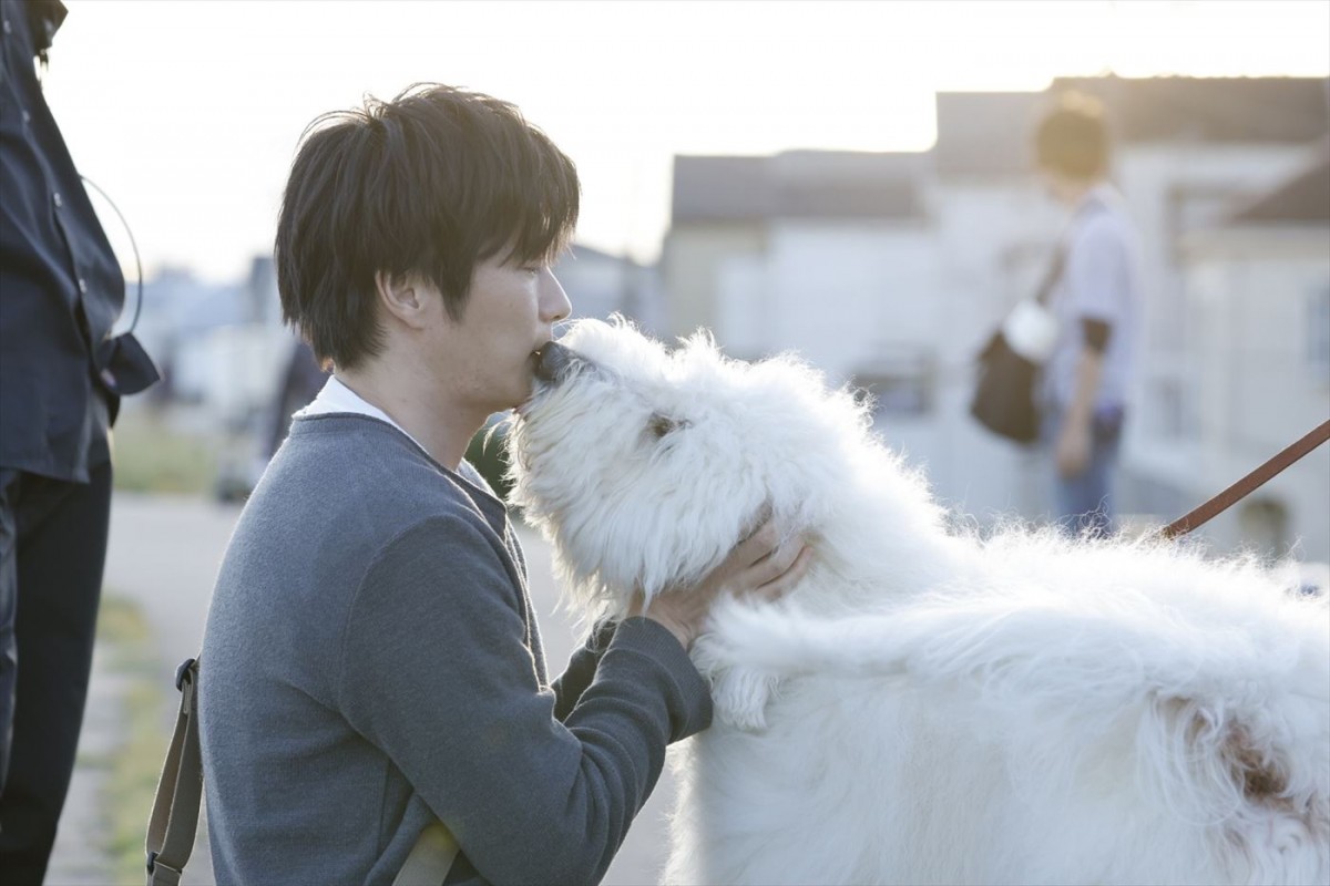 田中圭ら、俳優犬ベックのかわいすぎるNGにメロメロ　映画『ハウ』現場オフショット映像到着