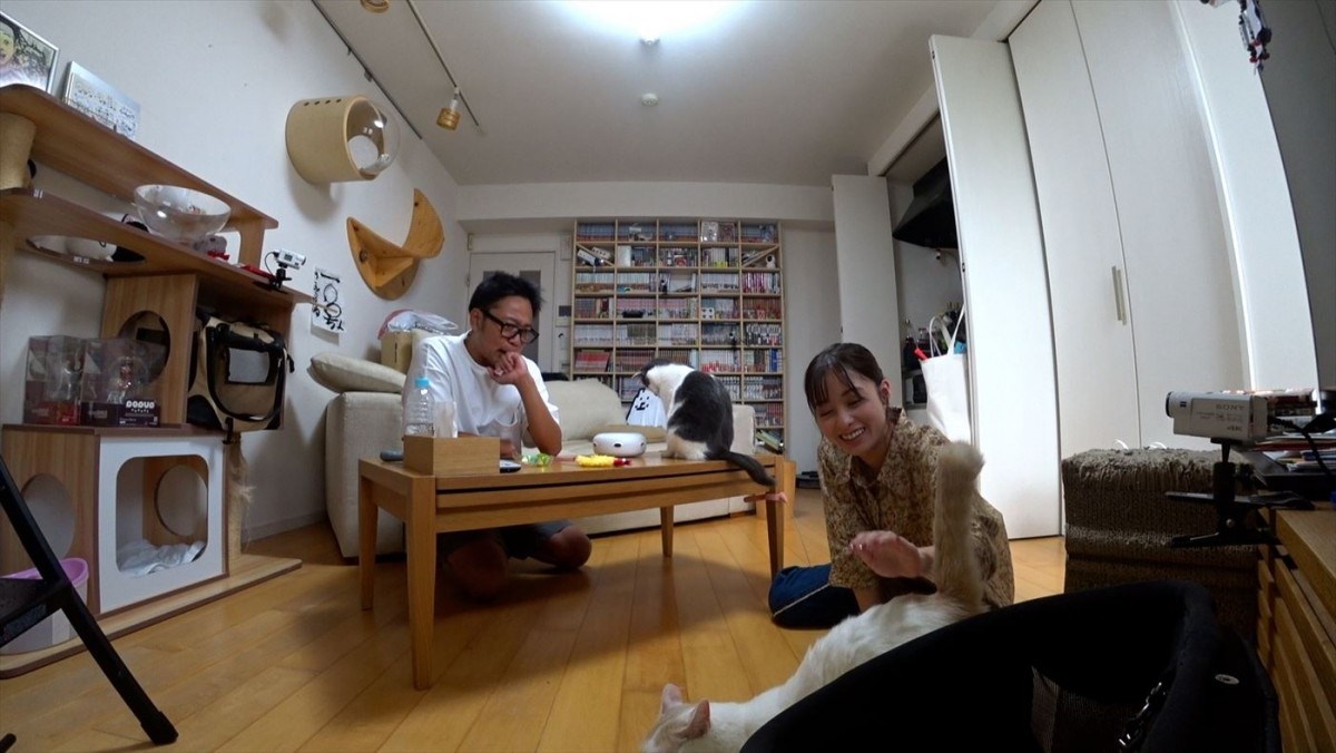 橋本環奈、サンシャイン池崎の自宅で愛猫と対面！　『嗚呼!!みんなの動物園』今夜放送