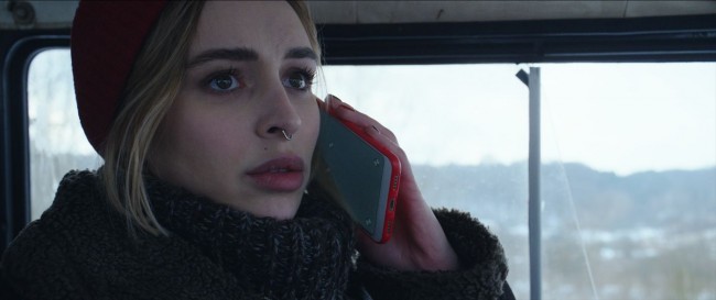 映画『シャイニー・シュリンプス!世界に羽ばたけ』場面写真