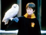 【写真】ワーナー・ブラザース、ハリー・ポッター映画をもっと増やしたいとトップが発言