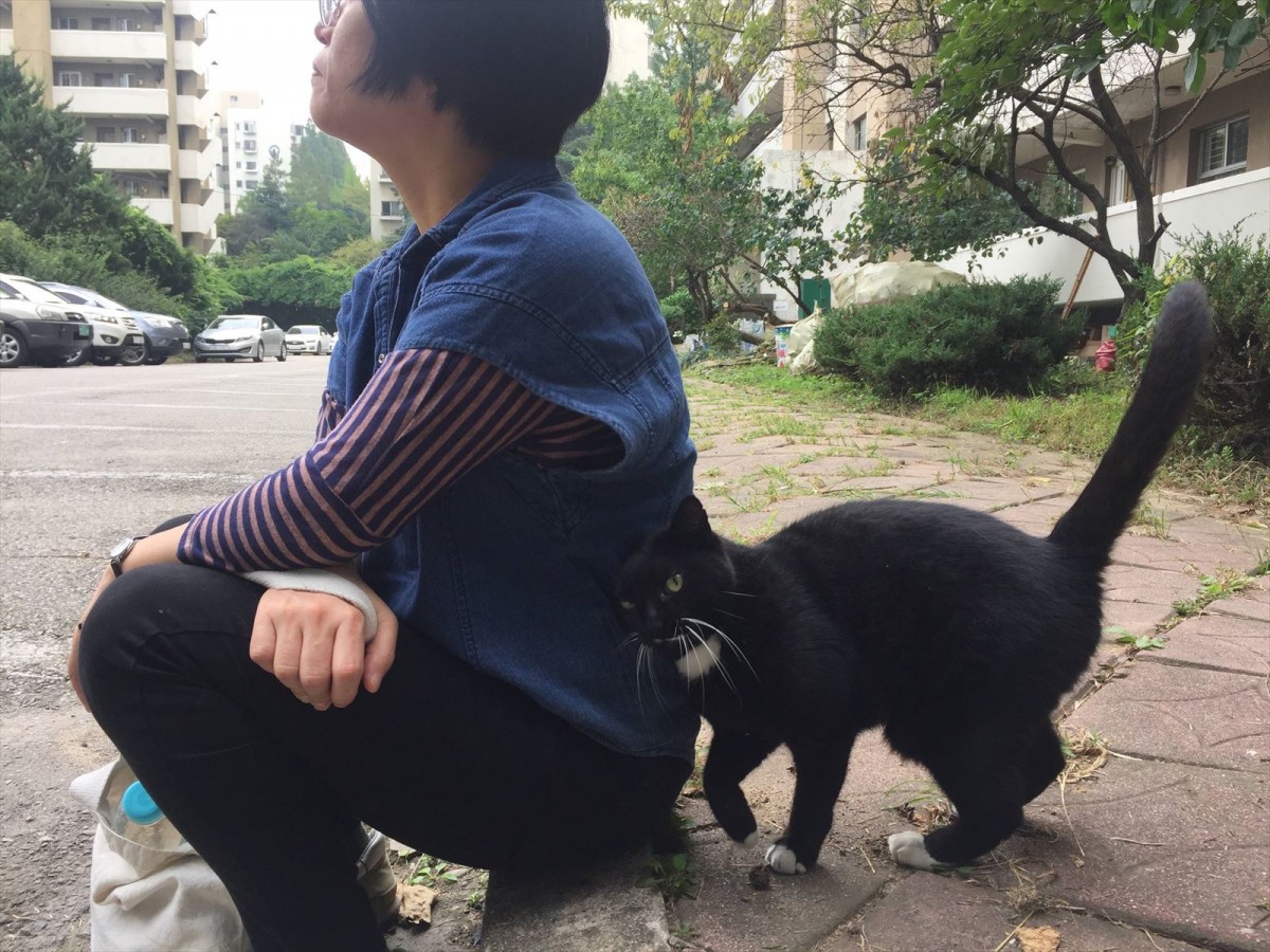映画『猫たちのアパートメント』メイキング写真