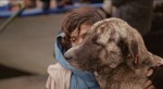 映画『ストレイ 犬が見た世界』場面写真