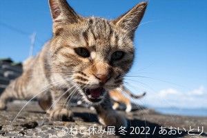 20220127_ねこ休み展 冬 2022