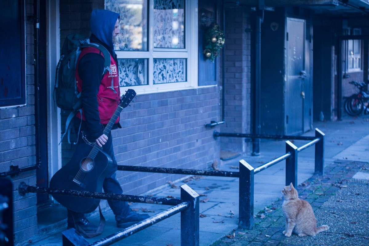 ボブのサンタコスがかわいい！ 『ボブという名の猫2』新カット解禁
