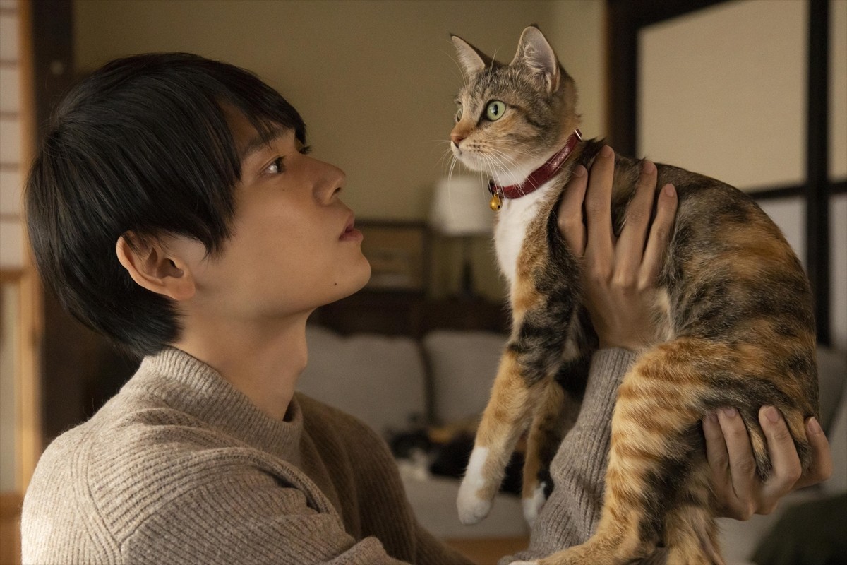 古川雄輝「僕レベルだとまだニワカ」　猫好き主人公にほっこり『ねこ物件』場面写真解禁