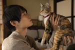 ドラマ『ねこ物件』第1話場面写真