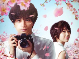 Netflix映画『桜のような僕の恋人』メインビジュアル