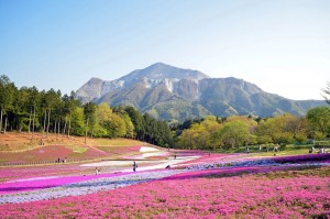 『じゃらん』一度は行ってみたい花絶景ランキング