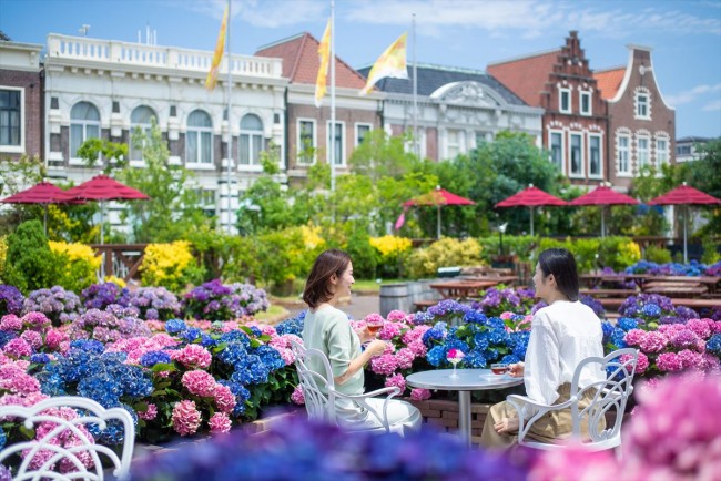 ハウステンボスに 100万本のバラ が咲き誇る 初夏の花の街 ワンダーランド 開催決定 22年4月14日 写真 おでかけ クランクイン トレンド