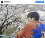 桜を見つめるバックショット　※「赤楚衛二」インスタグラム