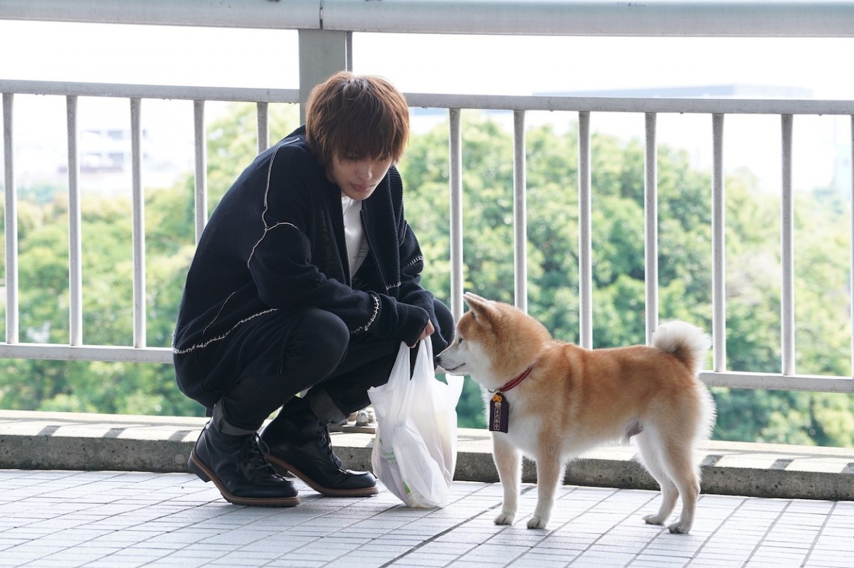 『ナンバMG5』特別編　剛の愛犬・松が家出　1通の“手紙”をめぐる騒動を巻き起こす