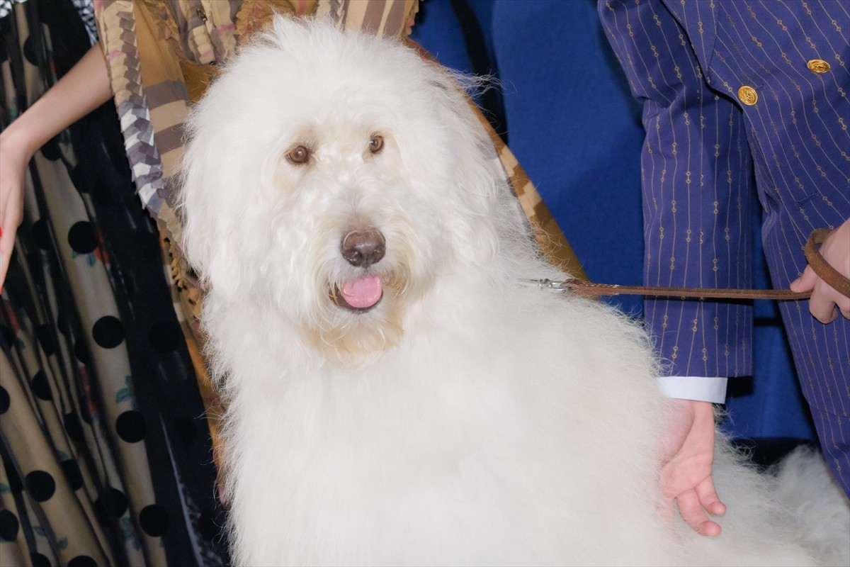 田中圭、犬好きだった母に“もう一度会いたい” 犬と自身の共演「見たかったろうな」