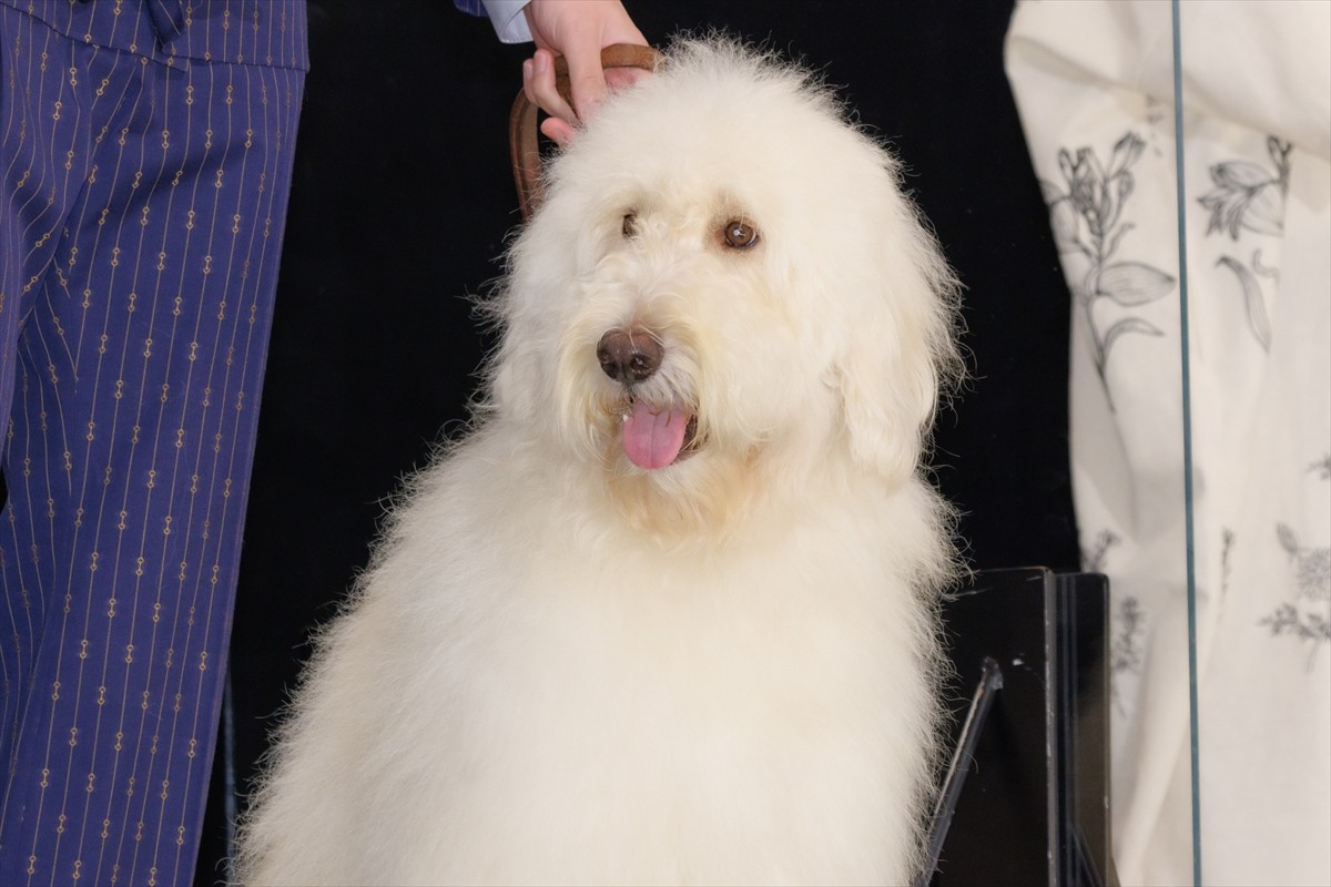 田中圭、犬好きだった母に“もう一度会いたい” 犬と自身の共演「見たかったろうな」
