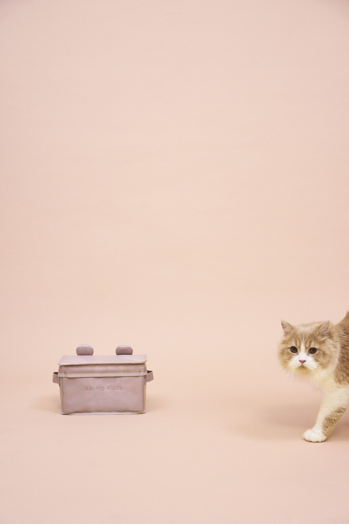 「GELATO PIQUE CAT＆DOG」202210